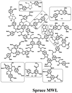 Graphical abstract: Spruce milled wood lignin: linear, branched or cross-linked?