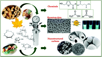 Graphical abstract: Recent advances in hydrothermal carbonisation: from tailored carbon materials and biochemicals to applications and bioenergy