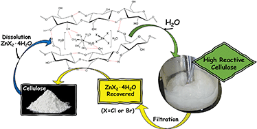 Graphical abstract: High enhancement of the hydrolysis rate of cellulose after pretreatment with inorganic salt hydrates