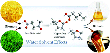 Graphical abstract: Effects of water in the heterogeneous catalytic valorization of levulinic acid into γ-valerolactone and its derivatives