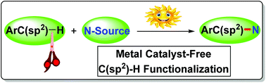 Graphical abstract: Photochemical strategies for C–N bond formation via metal catalyst-free (hetero) aryl C(sp2)–H functionalization