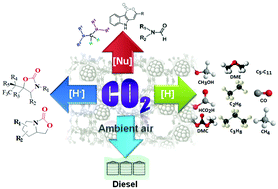 Graphical abstract: Catalytic reduction of CO2 into fuels and fine chemicals