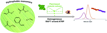 Graphical abstract: Homogeneous polymerization of hydrophobic monomers in a bio-based dl-menthol/1-tetradecanol eutectic mixture by ATRP and RAFT polymerization