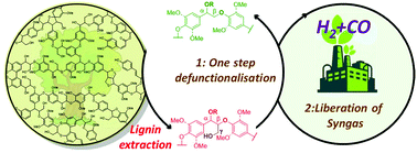 Graphical abstract: Combined lignin defunctionalisation and synthesis gas formation by acceptorless dehydrogenative decarbonylation