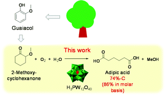 Graphical abstract: Efficient production of adipic acid from 2-methoxycyclohexanone by aerobic oxidation with a phosphotungstic acid catalyst