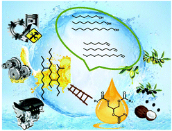 Graphical abstract: Conversion of lipid into high-viscosity branched bio-lubricant base oil