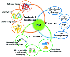 Graphical abstract: Poly(glycolic acid) (PGA): a versatile building block expanding high performance and sustainable bioplastic applications