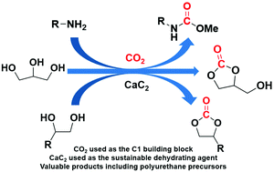 Graphical abstract: Calcium carbide as a dehydrating agent for the synthesis of carbamates, glycerol carbonate, and cyclic carbonates from carbon dioxide