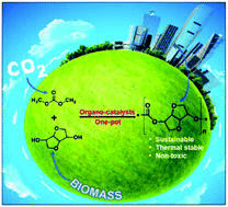 Graphical abstract: One-pot synthesis of bio-based polycarbonates from dimethyl carbonate and isosorbide under metal-free condition