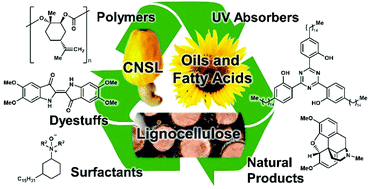 Graphical abstract: Applications of xylochemistry from laboratory to industrial scale