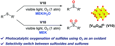Graphical abstract: Selectivity switch in the aerobic oxygenation of sulfides photocatalysed by visible-light-responsive decavanadate