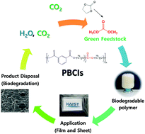 Graphical abstract: Synthesis of a series of biodegradable poly(butylene carbonate-co-isophthalate) random copolymers derived from CO2-based comonomers for sustainable packaging