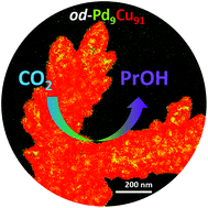 Graphical abstract: Selective n-propanol formation from CO2 over degradation-resistant activated PdCu alloy foam electrocatalysts