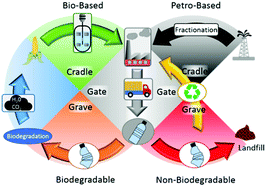 Graphical abstract: Review of recent advances in the biodegradability of polyhydroxyalkanoate (PHA) bioplastics and their composites