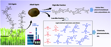 Graphical abstract: Profiling of the formation of lignin-derived monomers and dimers from Eucalyptus alkali lignin