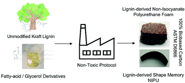 Graphical abstract: Materials for the biorefinery: high bio-content, shape memory Kraft lignin-derived non-isocyanate polyurethane foams using a non-toxic protocol