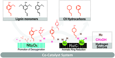 Graphical abstract: One-pot hydrodeoxygenation (HDO) of lignin monomers to C9 hydrocarbons co-catalysed by Ru/C and Nb2O5