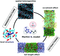 Graphical abstract: Martini coarse-grained models of imidazolium-based ionic liquids: from nanostructural organization to liquid–liquid extraction