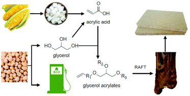 Graphical abstract: RAFT thermoplastics from glycerol: a biopolymer for development of sustainable wood adhesives