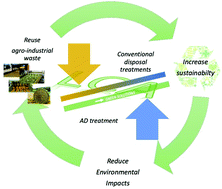 Graphical abstract: Life cycle assessment of agro-industrial by-product reuse: a comparison between anaerobic digestion and conventional disposal treatments