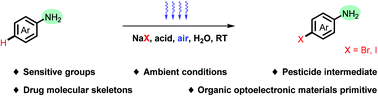 Graphical abstract: Visible-light-promoted oxidative halogenation of (hetero)arenes