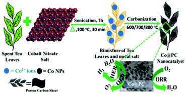 Graphical abstract: Spent tea leaves templated synthesis of highly active and durable cobalt-based trifunctional versatile electrocatalysts for hydrogen and oxygen evolution and oxygen reduction reactions