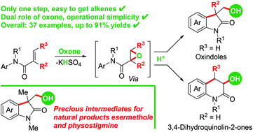 Graphical abstract: Synthesis of hydroxyl-containing oxindoles and 3,4-dihydroquinolin-2-ones through oxone-mediated cascade arylhydroxylation of activated alkenes