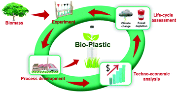 Graphical abstract: Production of a sustainable and renewable biomass-derived monomer: conceptual process design and techno-economic analysis