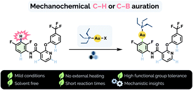 Graphical abstract: Mechanochemical synthesis of (hetero)aryl Au(i) complexes