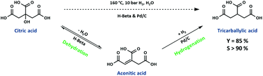 Graphical abstract: Selective defunctionalization of citric acid to tricarballylic acid as a precursor for the production of high-value plasticizers