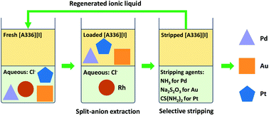 Graphical abstract: Separation of precious metals by split-anion extraction using water-saturated ionic liquids