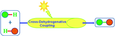 Graphical abstract: Visible light promoted cross-dehydrogenative coupling: a decade update
