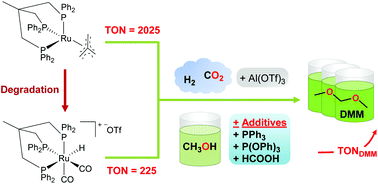 Graphical abstract: Performance enhancing additives for reusable ruthenium-triphos catalysts in the reduction of CO2 to dimethoxymethane