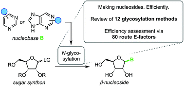 Graphical abstract: Route efficiency assessment and review of the synthesis of β-nucleosides via N-glycosylation of nucleobases