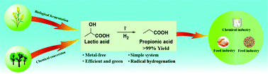 Graphical abstract: Highly selective production of propionic acid from lactic acid catalyzed by NaI