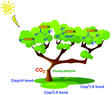 Graphical abstract: Photocarboxylation with CO2: an appealing and sustainable strategy for CO2 fixation