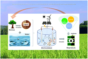Graphical abstract: Electrocatalytic hydrogenation and depolymerization pathways for lignin valorization: toward mild synthesis of chemicals and fuels from biomass