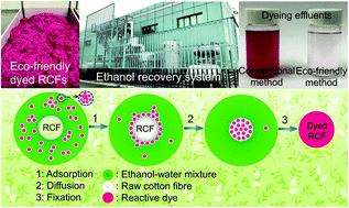 Graphical abstract: Eco-friendly dyeing of raw cotton fibres in an ethanol–water mixture without scouring and bleaching pretreatments