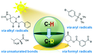 Graphical abstract: Photochemical methods for deuterium labelling of organic molecules