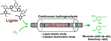 Graphical abstract: Continuous hydrogenolysis of acetal-stabilized lignin in flow