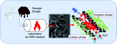 Graphical abstract: Pyrolyzed biosolid surface features promote a highly efficient oxygen reduction reaction