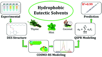 Graphical abstract: Predicting the density and viscosity of hydrophobic eutectic solvents: towards the development of sustainable solvents