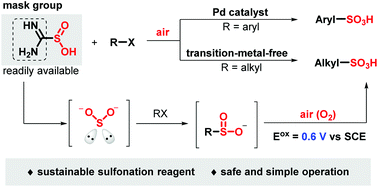 Graphical abstract: Sustainable access to sulfonic acids from halides and thiourea dioxide with air