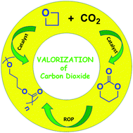 Graphical abstract: Catalysis of carbon dioxide and oxetanes to produce aliphatic polycarbonates