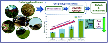 Graphical abstract: Use of ensiled biomass sorghum increases ionic liquid pretreatment efficiency and reduces biofuel production cost and carbon footprint