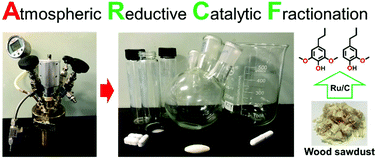 Graphical abstract: Highly selective reductive catalytic fractionation at atmospheric pressure without hydrogen