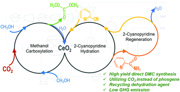 Graphical abstract: Direct dimethyl carbonate synthesis from CO2 and methanol catalyzed by CeO2 and assisted by 2-cyanopyridine: a cradle-to-gate greenhouse gas emission study