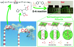 Graphical abstract: A self-healing and recyclable polyurethane-urea Diels–Alder adduct synthesized from carbon dioxide and furfuryl amine