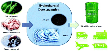 Graphical abstract: Catalytic hydrothermal deoxygenation of lipids and fatty acids to diesel-like hydrocarbons: a review