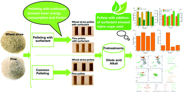 Graphical abstract: Double bonus: surfactant-assisted biomass pelleting benefits both the pelleting process and subsequent enzymatic saccharification of the pretreated pellets